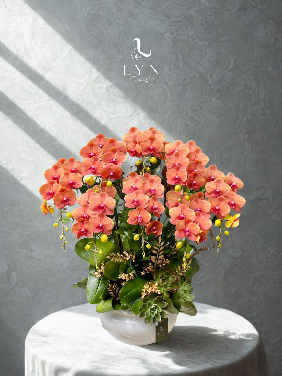 Chậu Hoa Lan Cam Trung